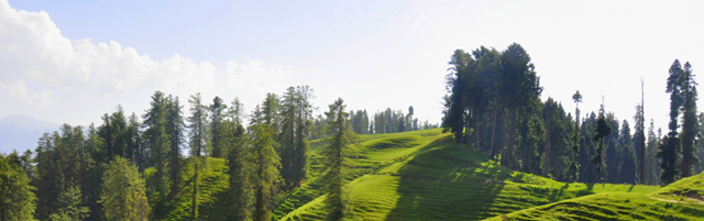 Padri / Padri Top / Padri Pass